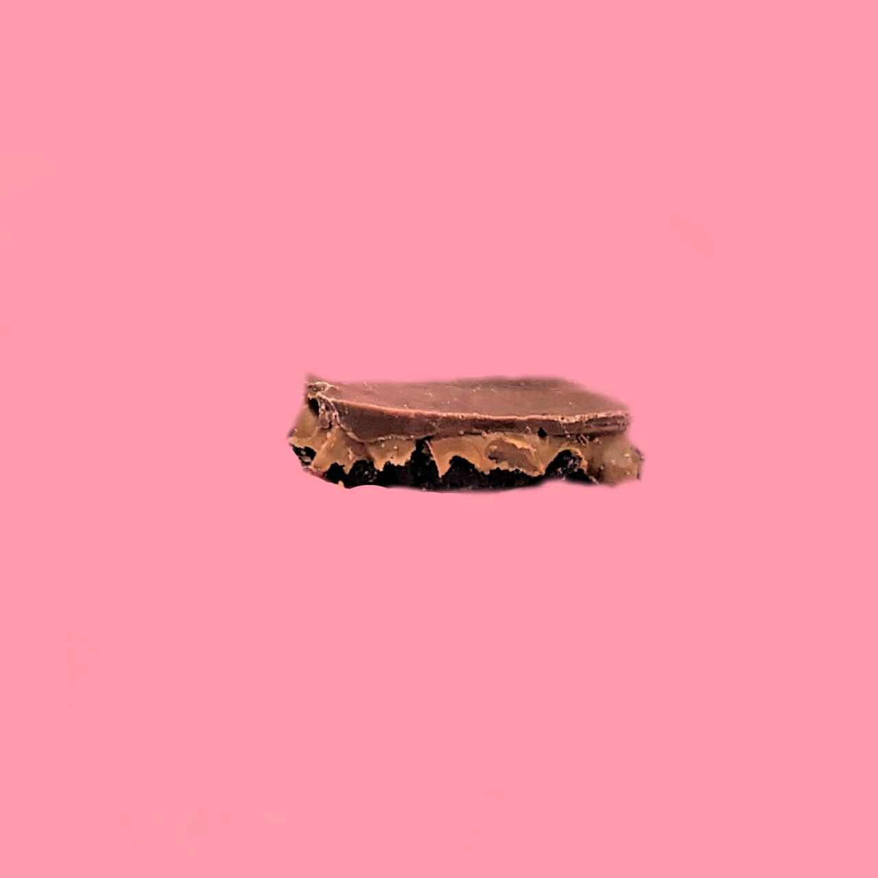 Vegan Millionaires Slice